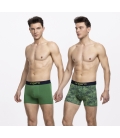 Pack 2 - Boxer Koda Green/Print