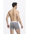 Pack 2 - Boxer Austin Ungaro Grey