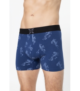 Pack 2 - Boxer Tiger Ungaro Navy/Print